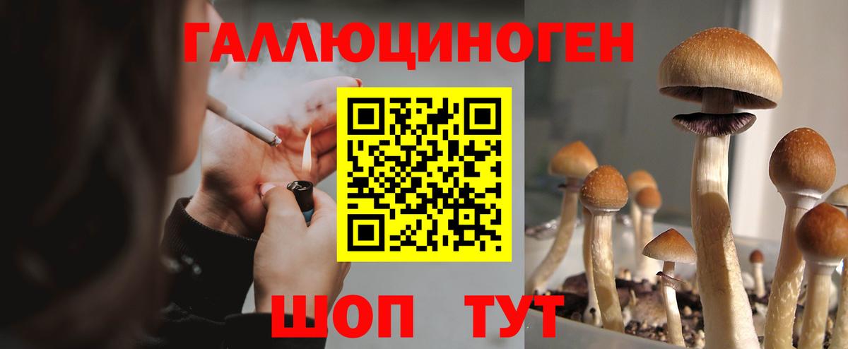 Тобольск  Псилоцибиновые грибы прущие грибы  купить наркотик  Вход с VPN 